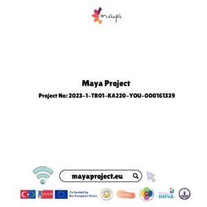Newsletter MAYA n. 2: curriculum, programma di mentoring e piattaforma completati